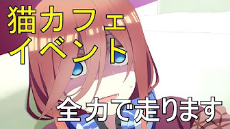 ごとぱず猫カフェイベント攻略 Youtube ごとぱず猫カフェイベント攻略 Youtube
