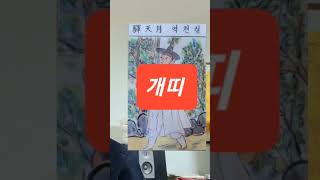 개띠 오늘의운세 24년1월12일 금요일 (아래 본방을 클릭하시면 다보실수 있습니다) #오늘의운세 #운세 #타…