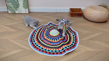 Potaroma 3-in-1 Hide-and-Seek Cat Toy