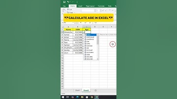 How to Calculate Age in Excel Like a Pro #excel #exceltips #exceltricks