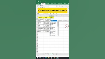 How to Calculate Age in Excel Like a Pro #excel #exceltips #exceltricks