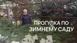 :    - 17.01.25.    
