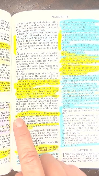 bible-readings-mark-chapter-11-verse-14-through-21-youtube