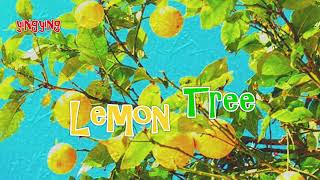 Lemon tree 檸檬樹 Peter, Paul &amp; Mary [ 中英歌詞] 