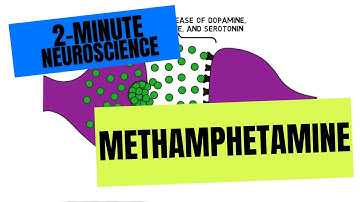 2-Minute Neuroscience: Methamphetamine