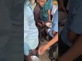 فحص جودة الحليب على الطريقة الهندية