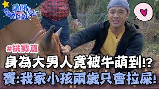 身為大男人竟被小牛萌到不要不要？竇智孔嘆：「我兩歲的兒子只會拉屎！」【請問今晚住誰家】挑戰篇 20200205 EP103 Part1 竇智孔 舞陽 懷秋 楊銘威