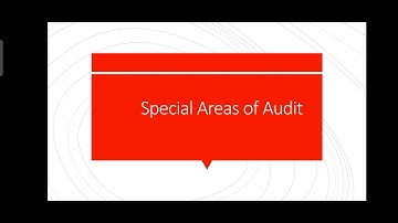 special Areas of audit