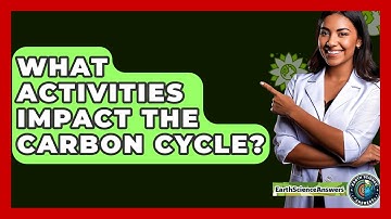 What Activities Impact The Carbon Cycle? - Earth Science Answers