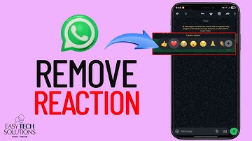 How To Remove Your Message Reaction On WhatsApp 2025