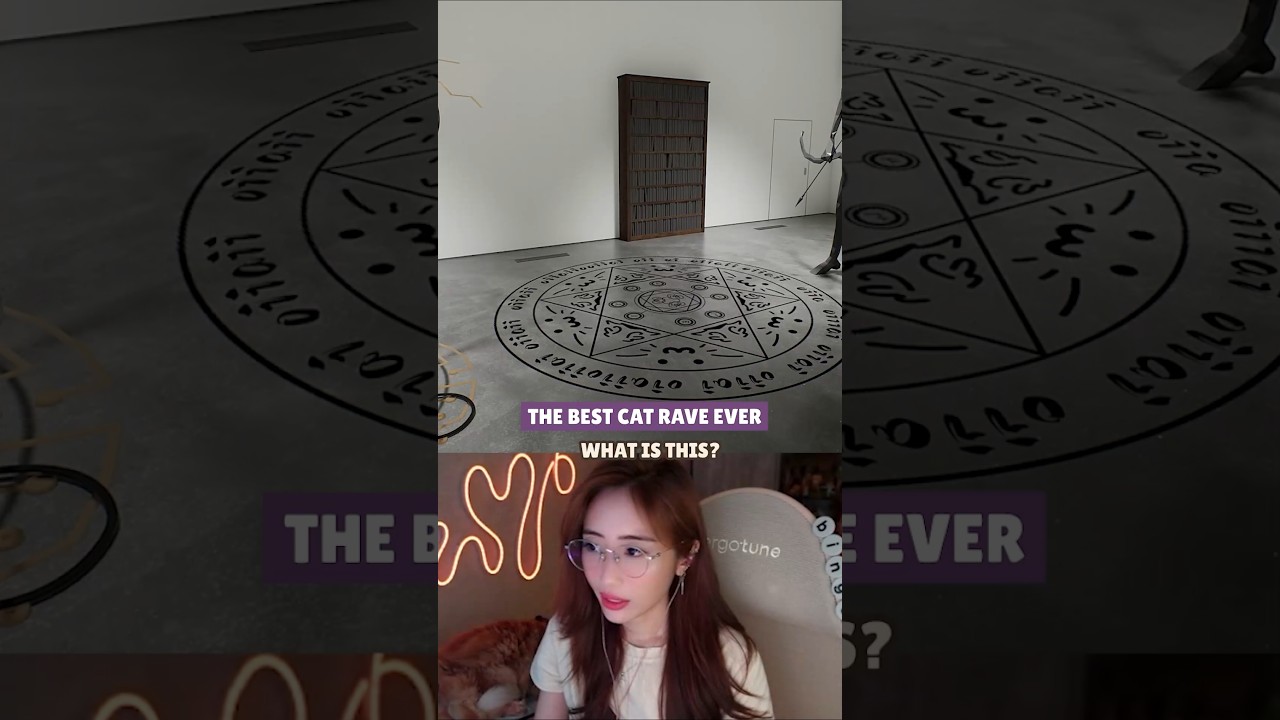 BEST CAT RAVE EVER 🙌🏻 Twisted Gallery for Indie GOTY please 