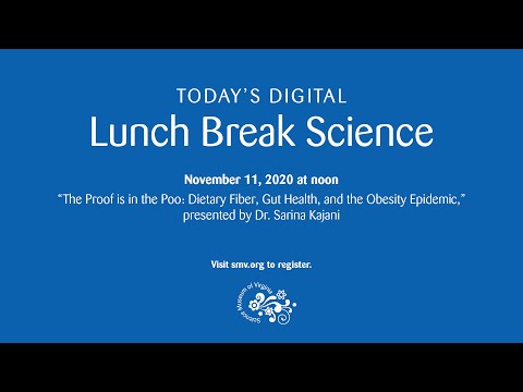 Lunch Break Science: