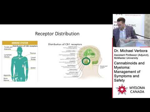 Cannabinoids and Myeloma with Dr Michael Verbora