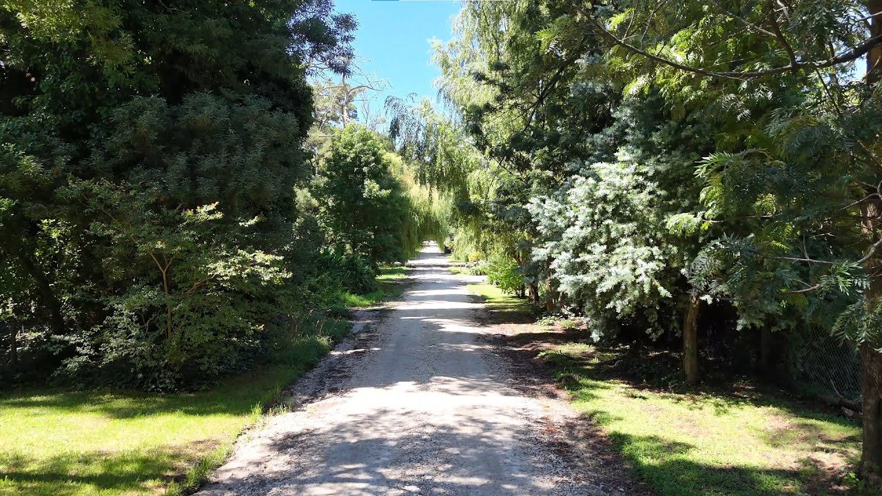 Bosque Peralta Ramos  - Vista desde 600 metros de altura !! - Mar del Plata