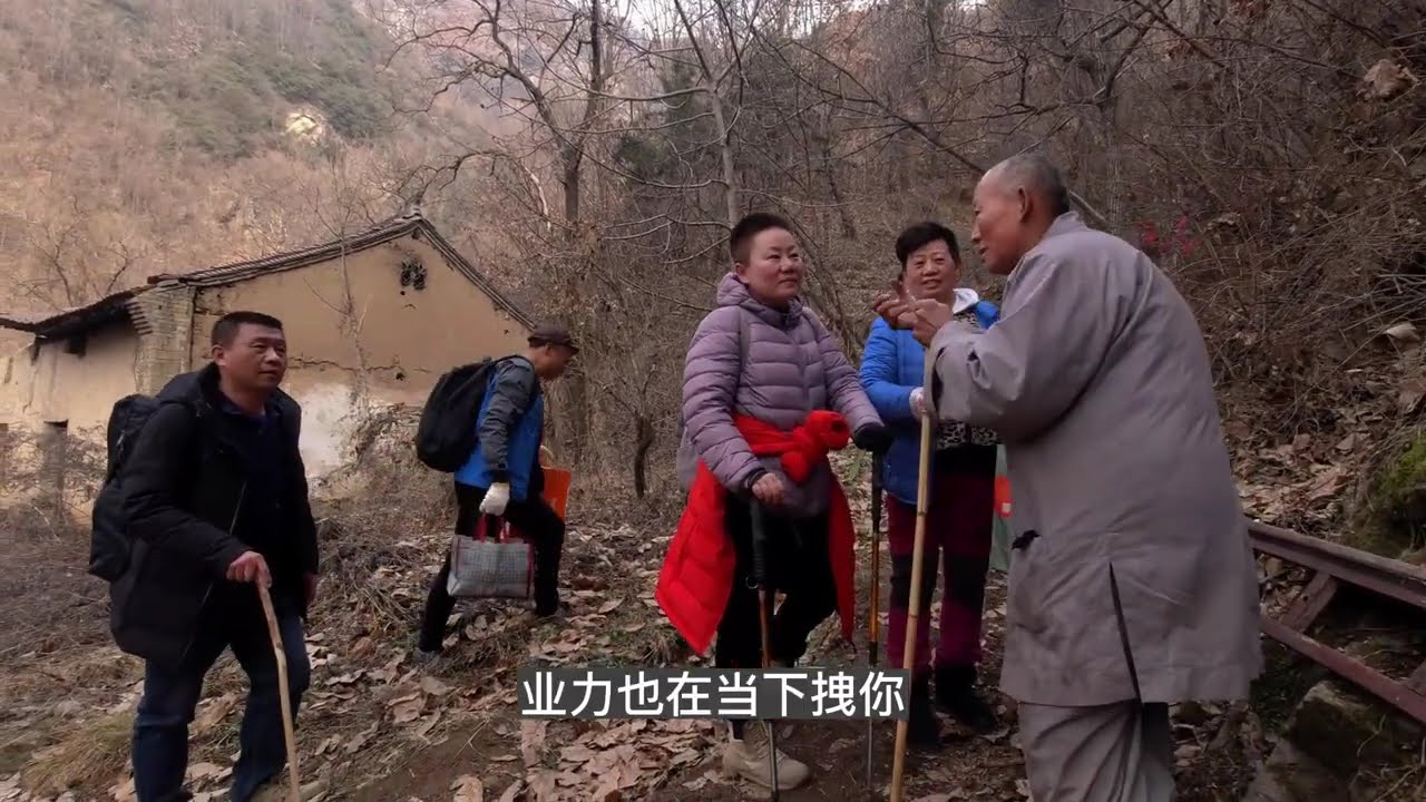 一位天津阿姨在终南山里的秘密“修行地”，打造的像空中花园一样