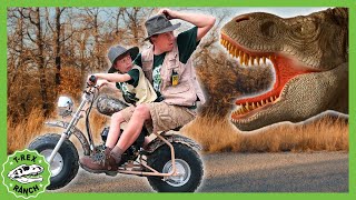 Is that the Mommy T-Rex?! Vehicles, Dinosaurs + MORE | T-Rex Ranch Dinosaur Videos for Kids