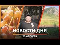 Новости Уфы и Башкирии 23.08.22: виноградники, туризм и опрос