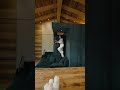 Da rudere a rifugio contemporaneo #interiordesign Mp3 Song