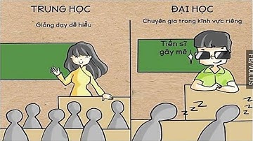 Sự khác biệt giữa Đại học và Trung học! Nỗi khổ của Sinh viên! | Blog HCD ✔