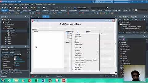 Control dan properties mengubah karakter teks (Delphi Rio /rad studio)