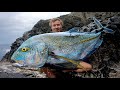 Extreme solo rock fishing big fish in japan