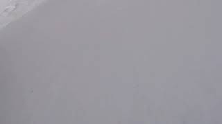 Famous 13 year old girl big mountain skier Molly Adams Net Worth