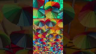 Famous So many umbrellas |☂️ | Umbrella street | Different coloured umbrella Wealth