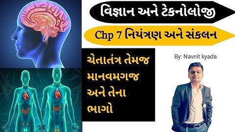 માનવમગજ અને તેના ભાગો તથા ચેતાતંત્રના પ્રકારો - chp 7 નિયંત્રણ અને સંકલન | ધોરણ 10
