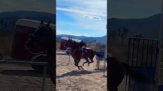 hya nomas un peluche que corre bien jananaja #ytshorts #ytviral #horse #suscribete