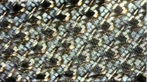 AM4013TL Dino-Lite Premier