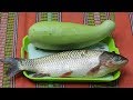 Village Food | Bottle Gourd and Grass Carp Fish Curry in Village Style | Grandmother Recipes
