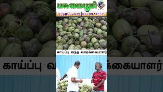 தேங்காய்,இளநீருக்கு ஒரு ஜாக்பாட் ரகம் தான் இது❗This is truly a jackpot variety for coconuts!