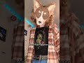 The one friend actually returns it 😨 ||#mask #furry #maskmaker #dontflop #fyp #viral #alterhuman