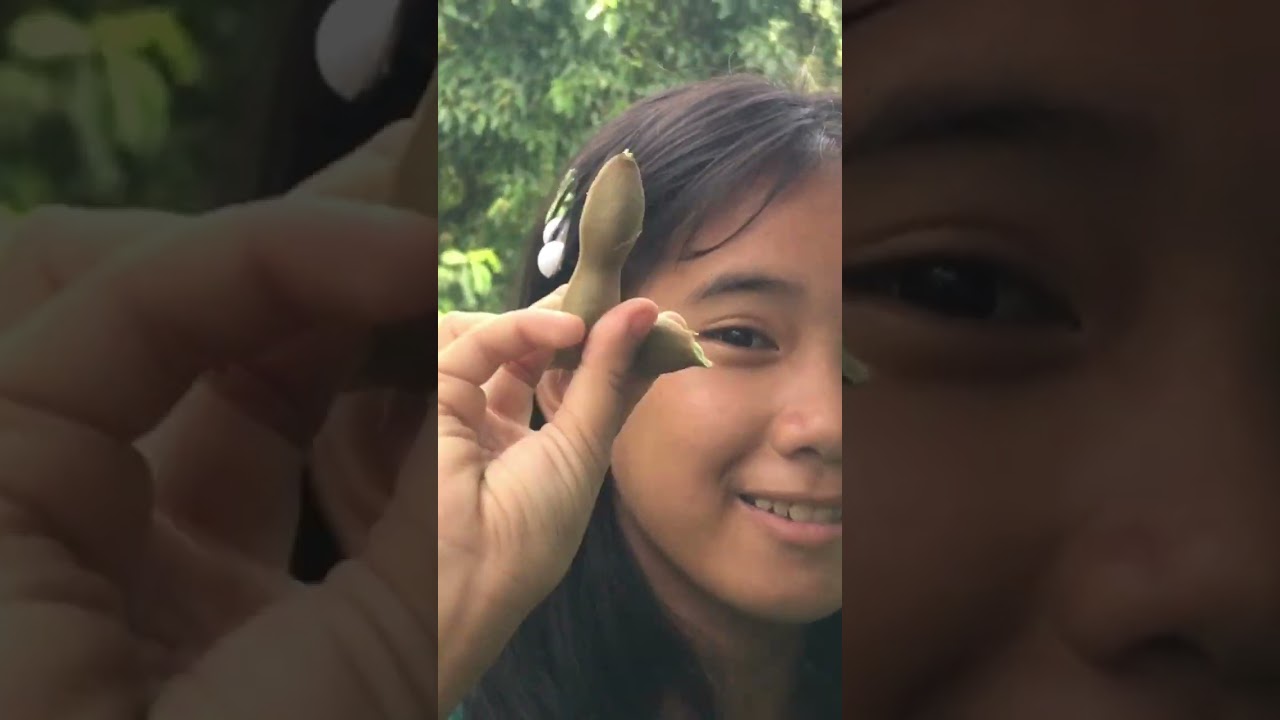 Sa bukid, Happy birthday ante