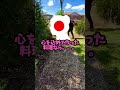 母さんの小さな食堂を馬鹿にしていた！でもその後、誰も予想しないことが起きた。
