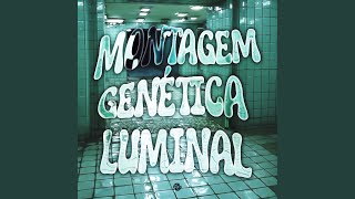 Montagem Genética Luminal