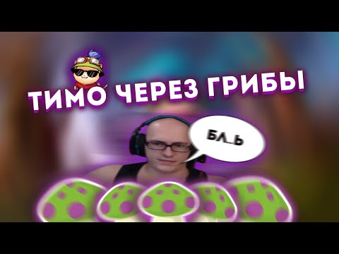 Видео: ТИМО ЧЕРЕЗ ГРИБЫ │ ВОЛГОГРАДСКИЙ СНАЙПЕР