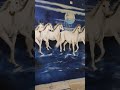 #minivlog #wall #wallpainting #painting #viralshort #viralvideo #viralsong #viralshorts #artviral