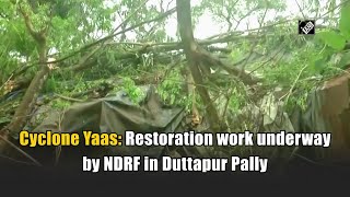 Cyclone Yaas: Restoration work underway by NDRF in Duttapur Pally
