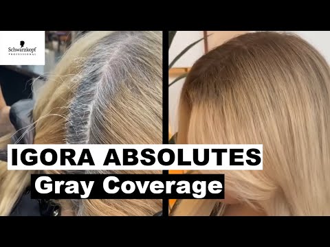 Gray Coverage Hair Dye Tutorial Using IGORA ABSOLUTES | Schwarzkopf Professional USA