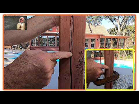 Video: Woon termiete in Cedar?