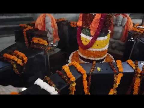 Shyam Janmotsav Celebration, Balaji Maharaj Bahadurgarh