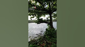 ﴿أفمن شرح الله صدره للإسلام...﴾ [الزمر:٢٢] || القارئ محمد اللحيدان