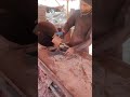 how to make red floor tiles