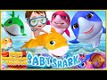 𝑵𝑬𝑾 Baby Shark Dance + More | Bmbm Preschool Cartoon | Songs for Kids &amp; Nursery Rhymes