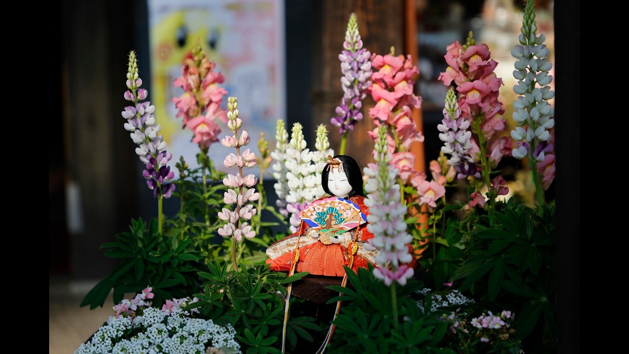 2026年2月23日鴻巣市びっくりひなまつり