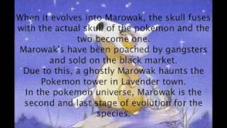 The Cubone/MISSINGNO Theory