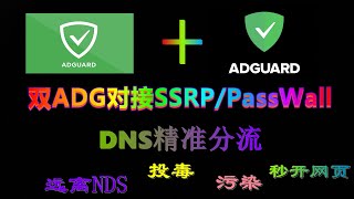 优雅的开启双AdGardHome的NDS+广告过滤功能，让ssrp+passwall精准分流国内外DNS解析，提升打开网页速度（DNS分流服务器/DNS优化/秒解析）