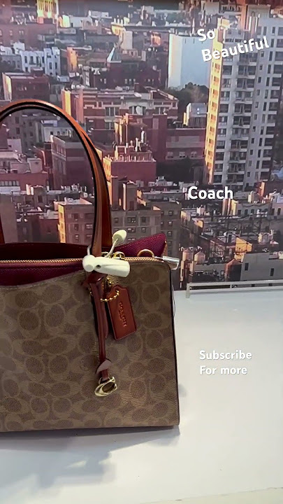 Louis Vuitton Monceau an Alternative to the LV Pochette Métis Bag Purse 💼  