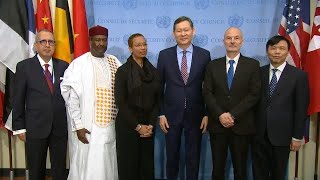 Meet the newly-elected non-permanent members to serve on the UN Security Council for 2020-2021